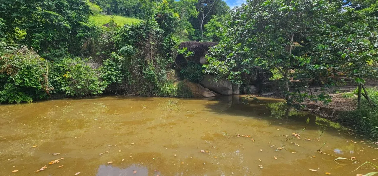 Sítio à venda de 48 ha em Mimoso do Sul, ES, Brasil