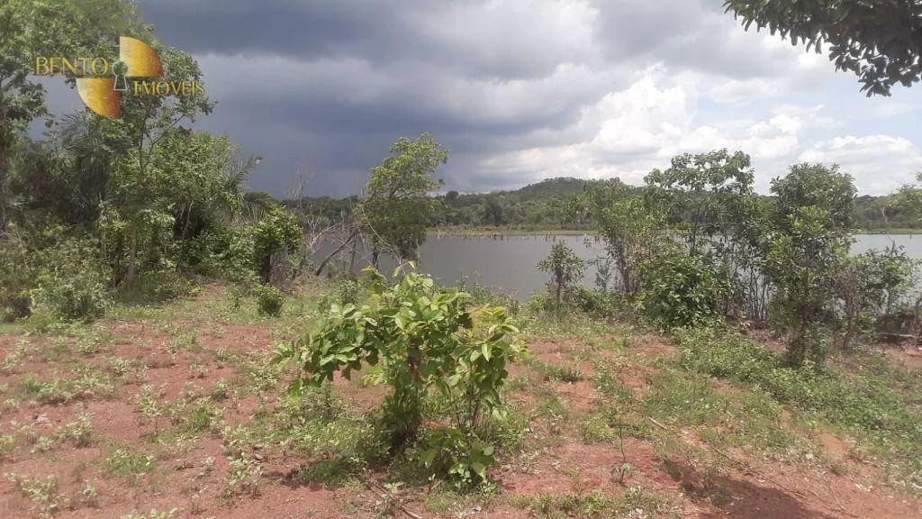 Fazenda à venda de 550 ha em Itiquira, MT, Brasil