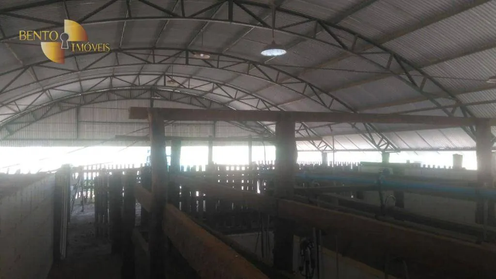 Fazenda à venda de 550 ha em Itiquira, MT, Brasil