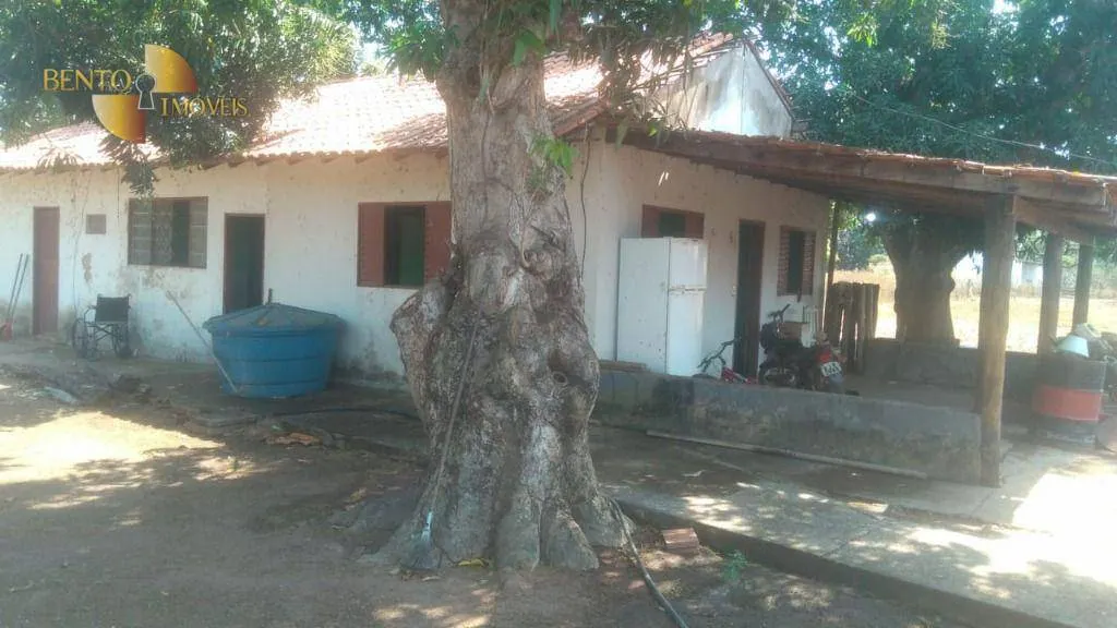 Fazenda à venda de 550 ha em Itiquira, MT, Brasil