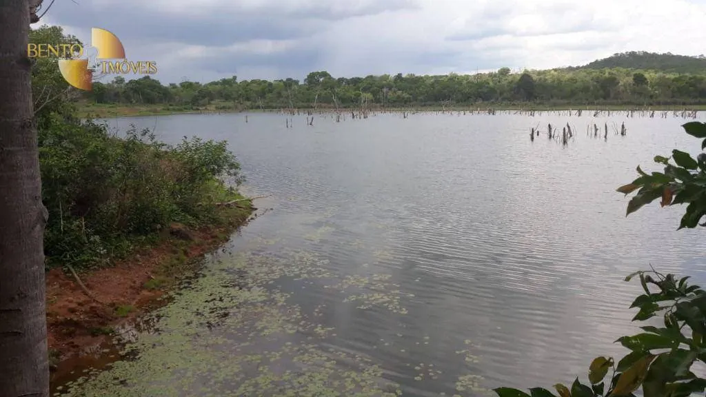 Fazenda à venda de 550 ha em Itiquira, MT, Brasil