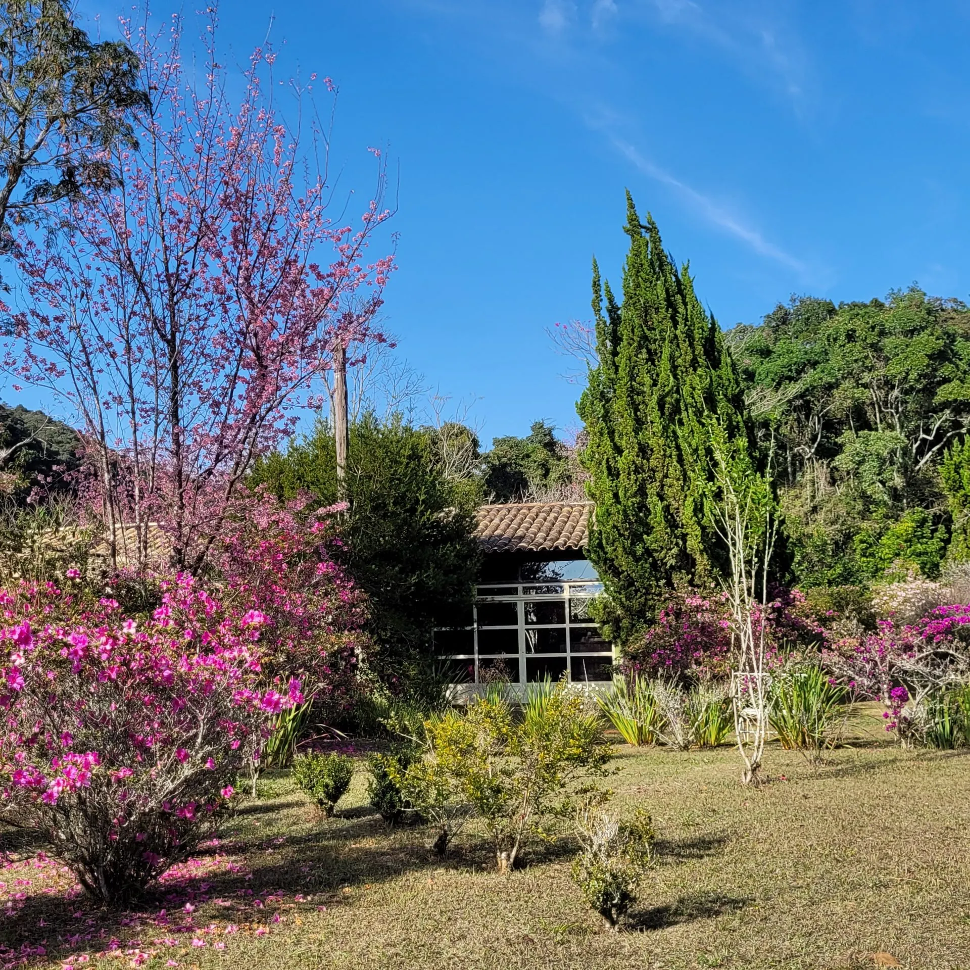 Chácara à venda de 5 ha em Aiuruoca, MG, Brasil