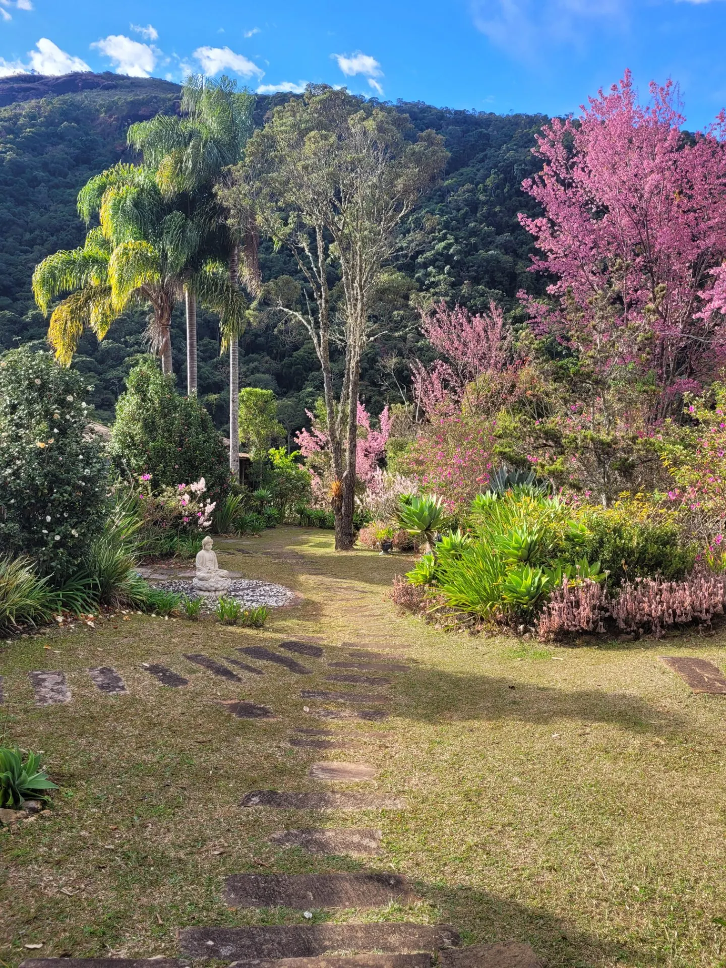 Chácara à venda de 5 ha em Aiuruoca, MG, Brasil