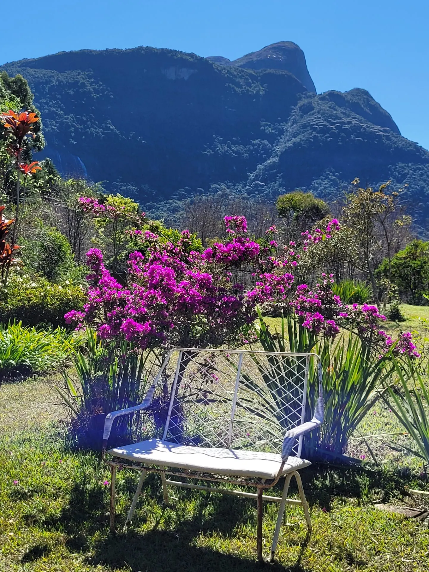 Chácara à venda de 5 ha em Aiuruoca, MG, Brasil