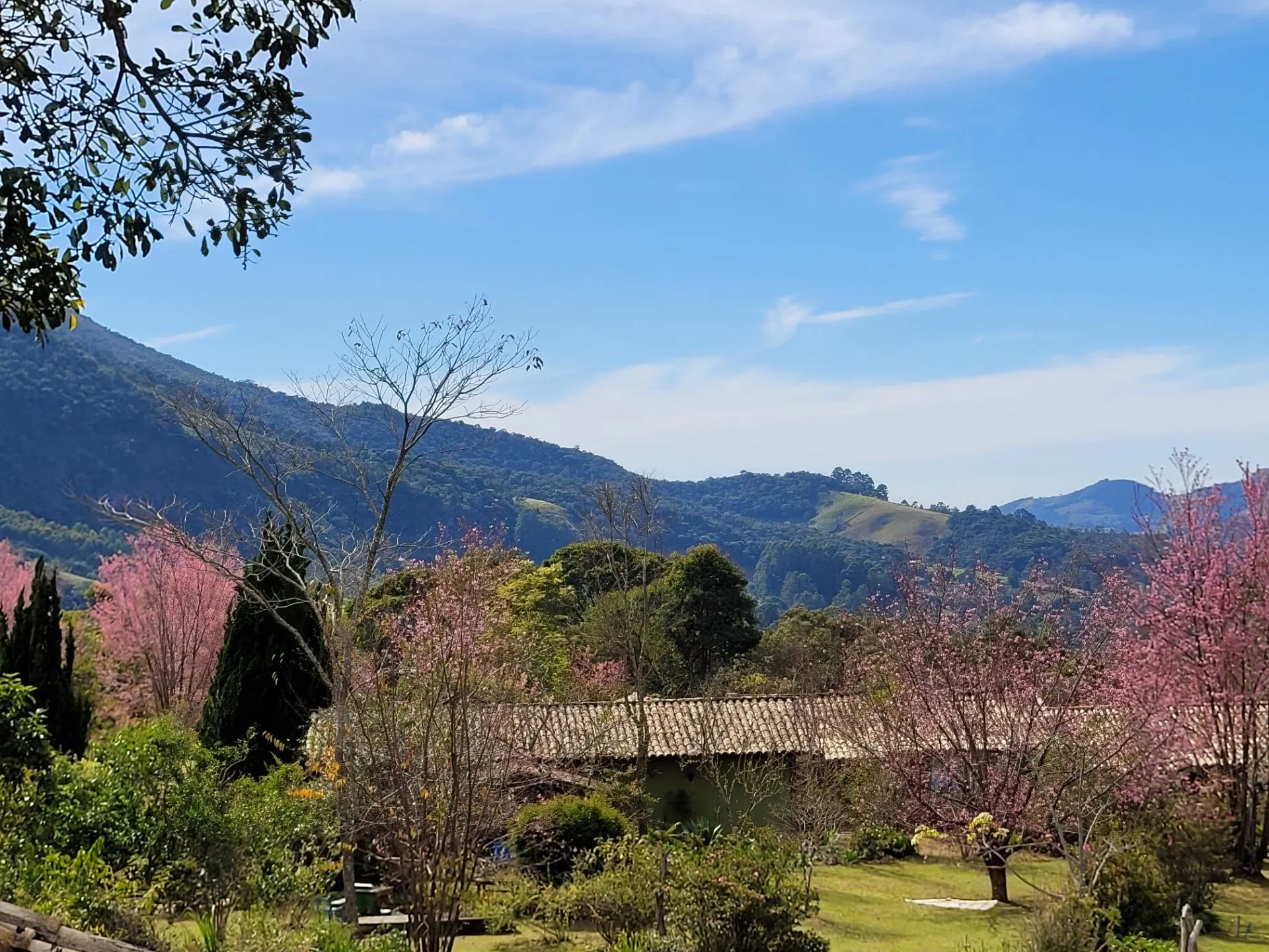 Chácara à venda de 5 ha em Aiuruoca, MG, Brasil