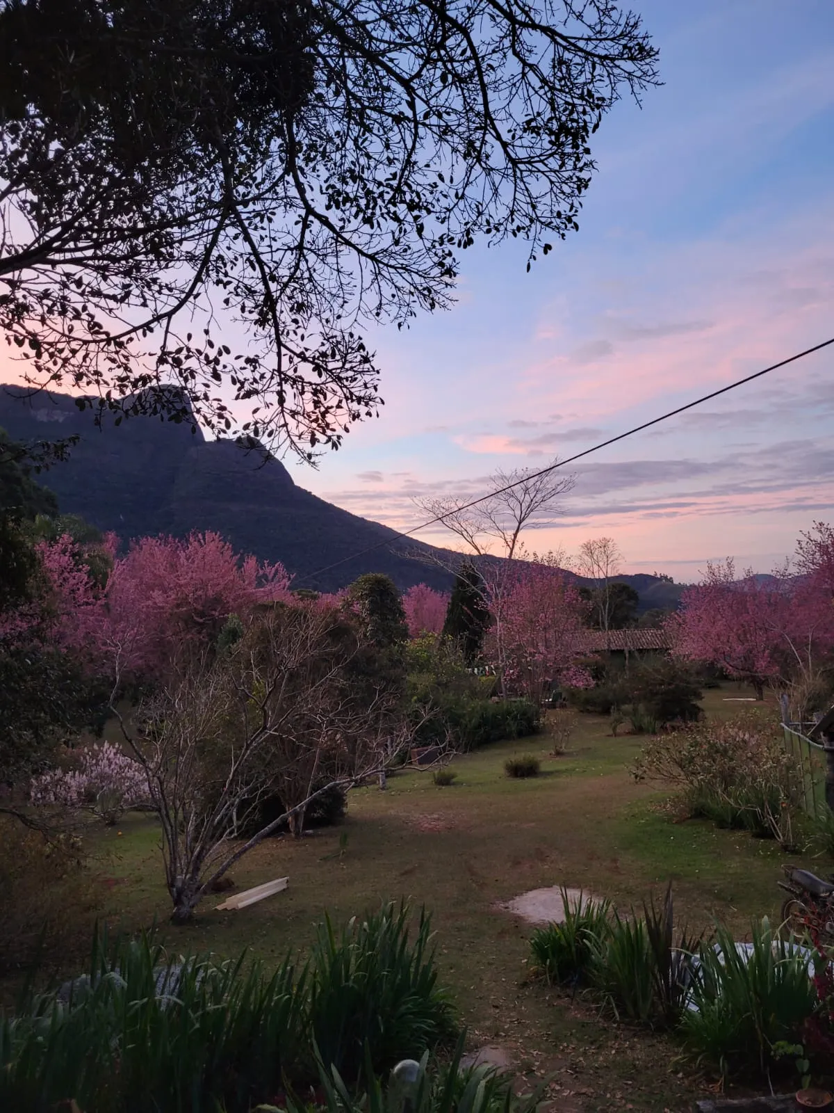 Chácara à venda de 5 ha em Aiuruoca, MG, Brasil