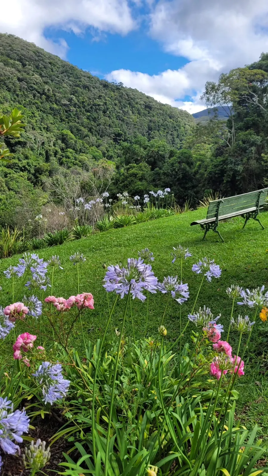 Chácara à venda de 5 ha em Aiuruoca, MG, Brasil