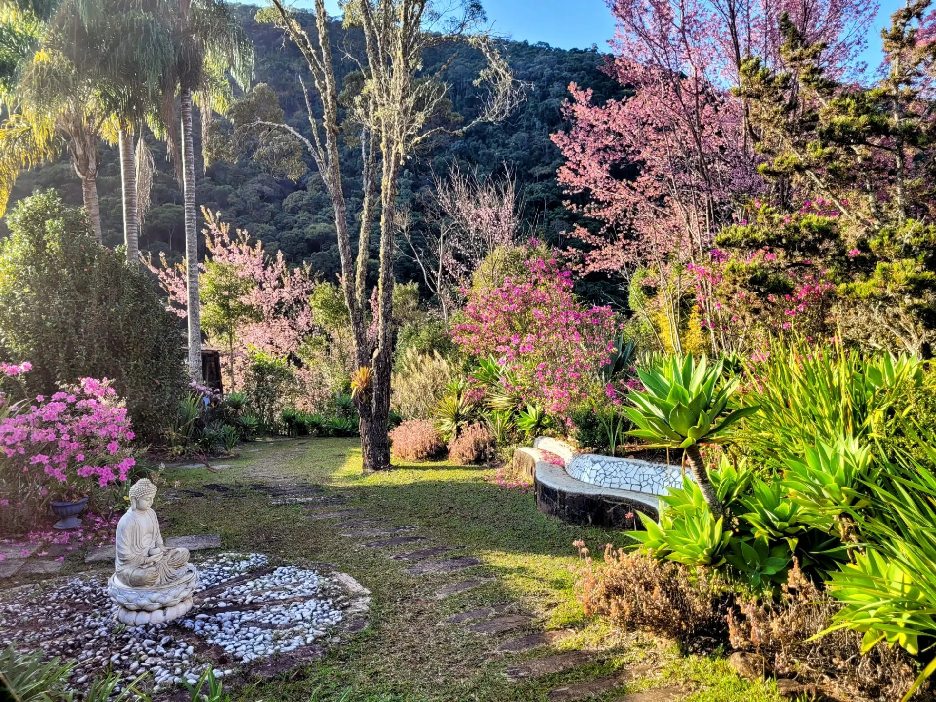 Chácara à venda de 5 ha em Aiuruoca, MG, Brasil