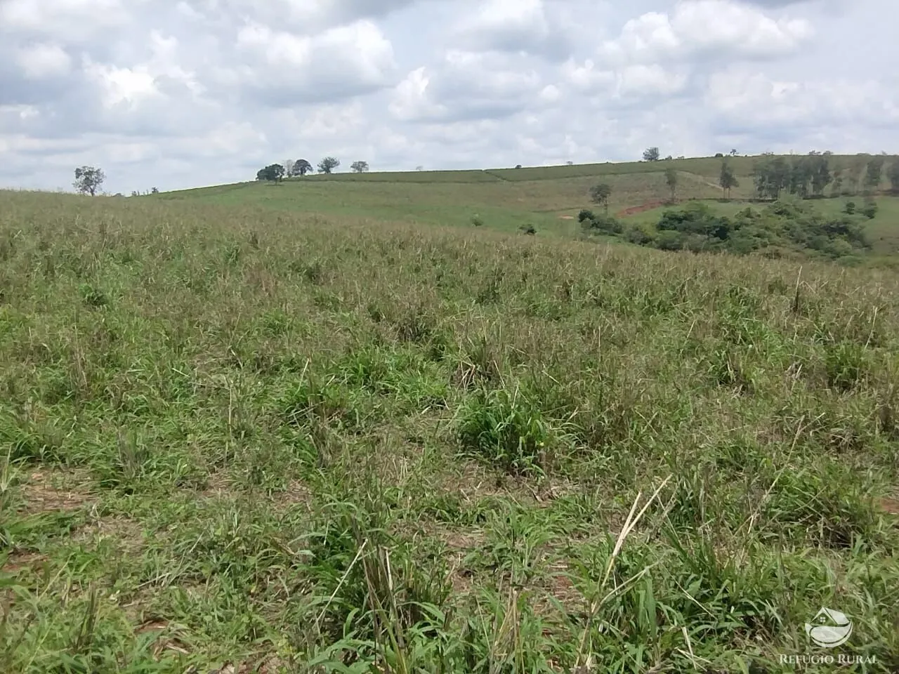 Farm for sale of 190 acres in Monte Belo, MG, Brazil