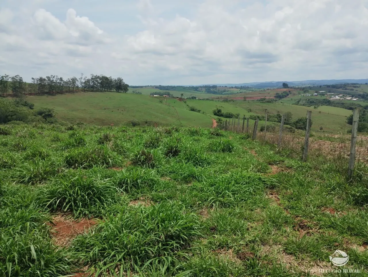 Farm for sale of 190 acres in Monte Belo, MG, Brazil