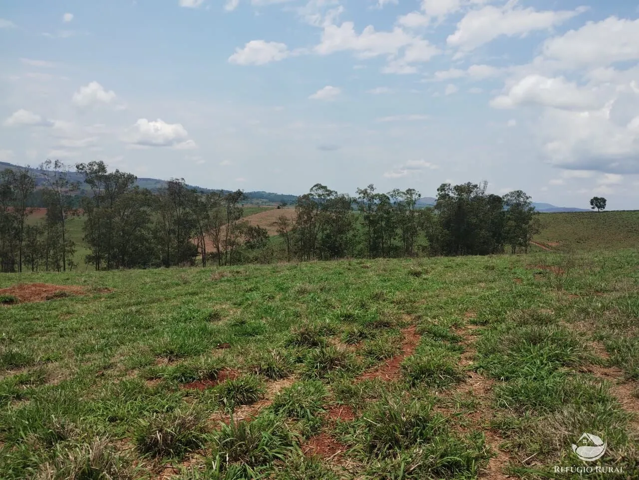 Farm for sale of 190 acres in Monte Belo, MG, Brazil