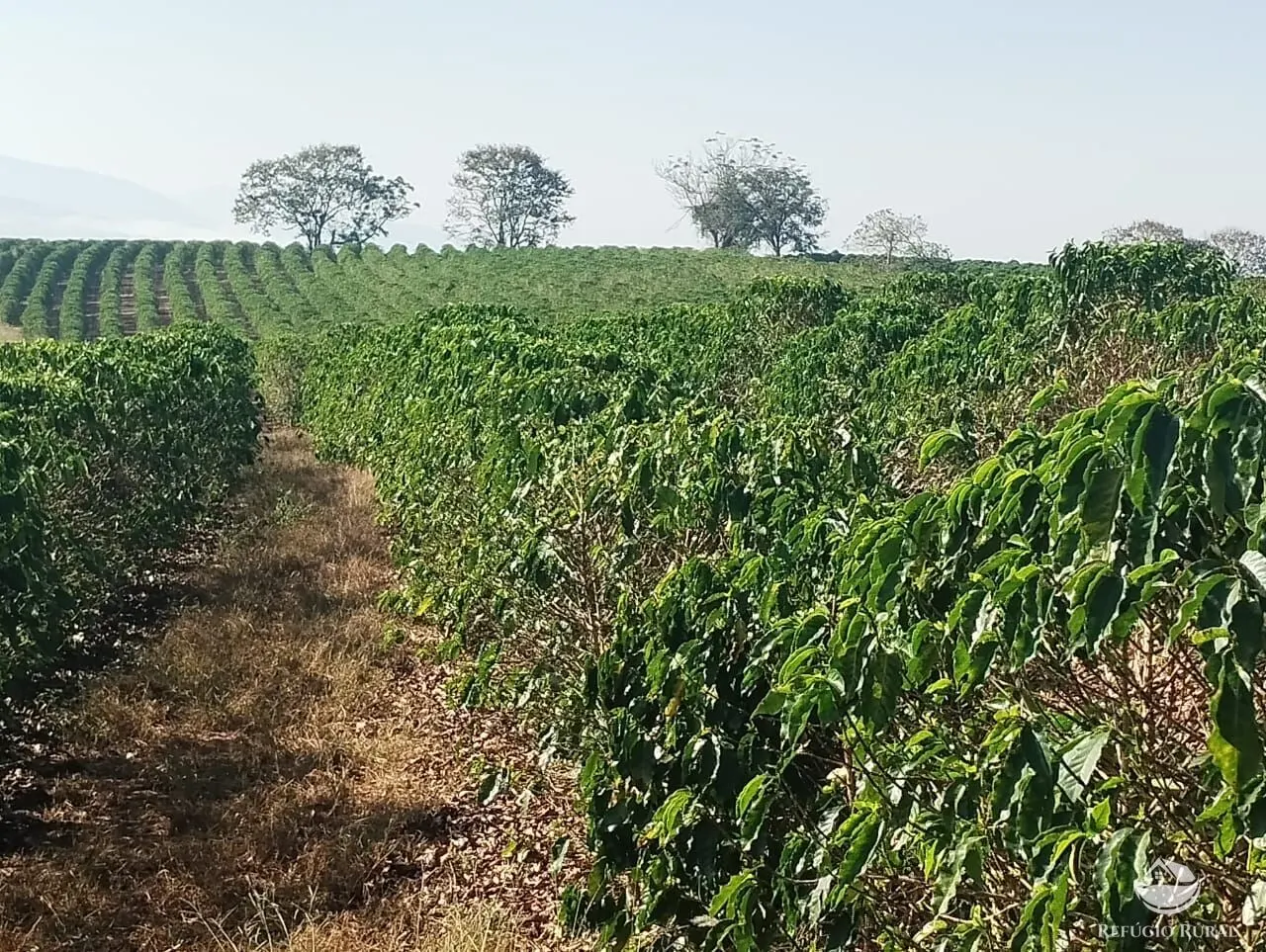 Farm for sale of 190 acres in Monte Belo, MG, Brazil