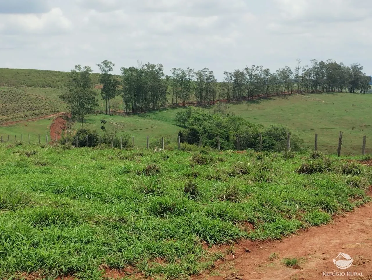 Farm for sale of 190 acres in Monte Belo, MG, Brazil