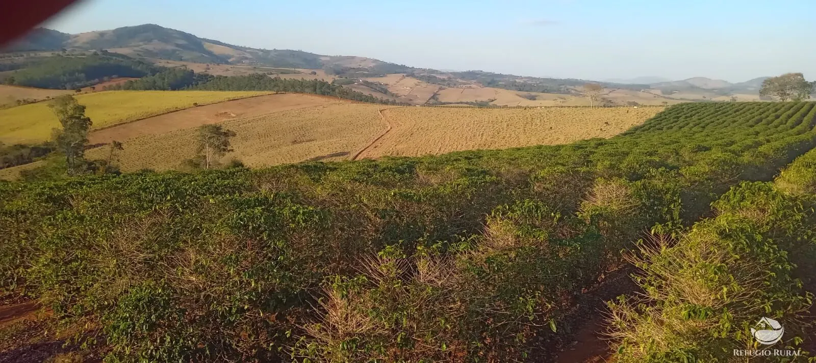 Farm for sale of 190 acres in Monte Belo, MG, Brazil