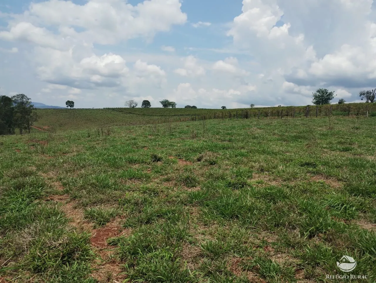 Farm for sale of 190 acres in Monte Belo, MG, Brazil