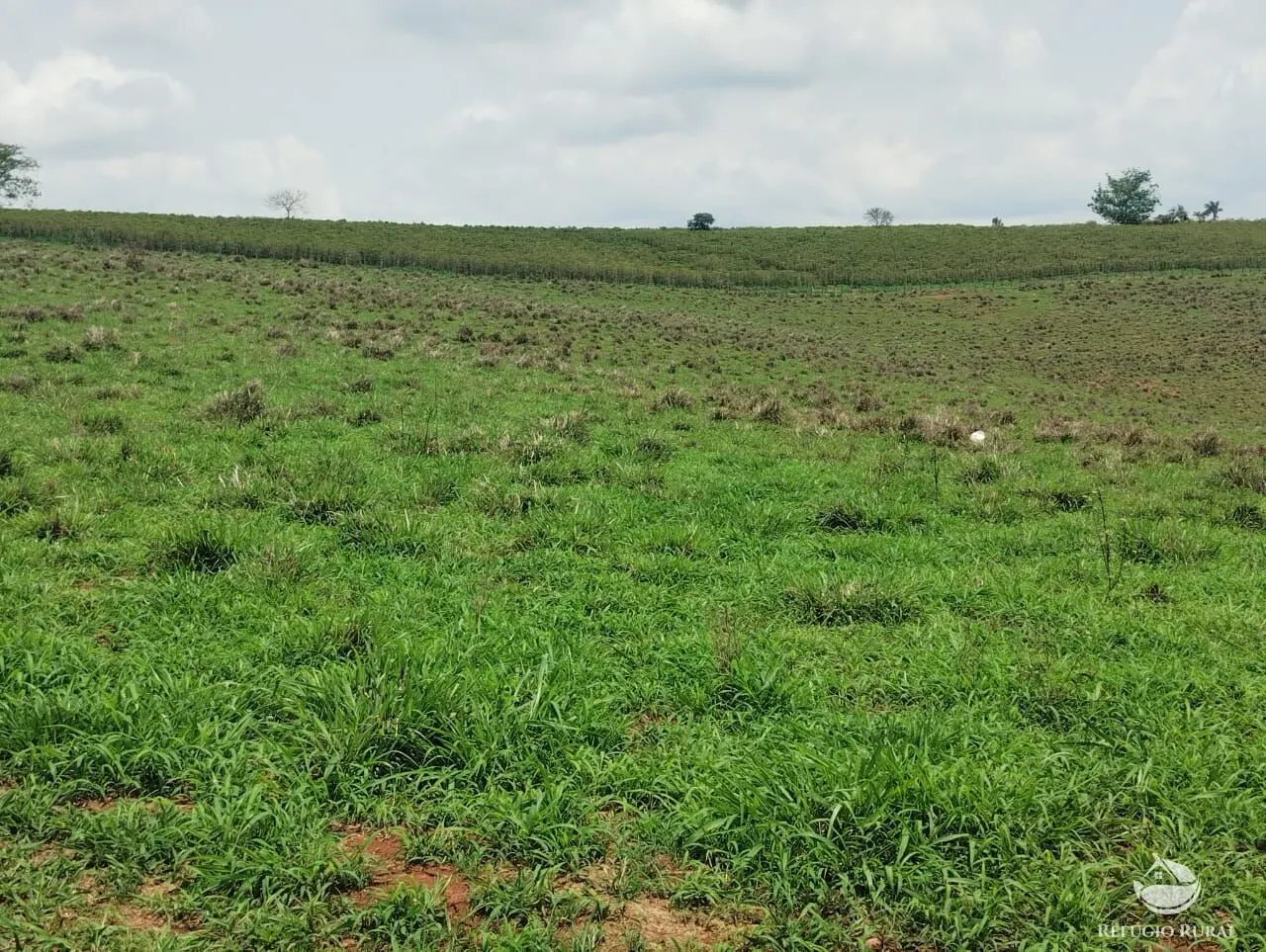 Farm for sale of 190 acres in Monte Belo, MG, Brazil