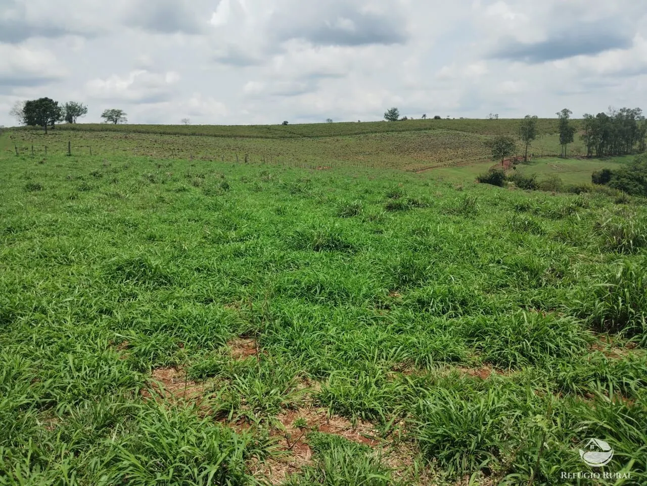 Farm for sale of 190 acres in Monte Belo, MG, Brazil