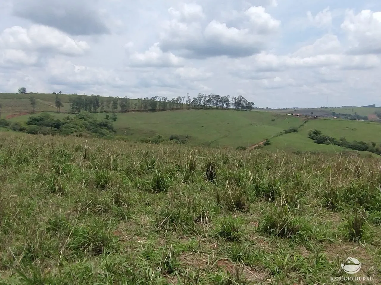Farm for sale of 190 acres in Monte Belo, MG, Brazil