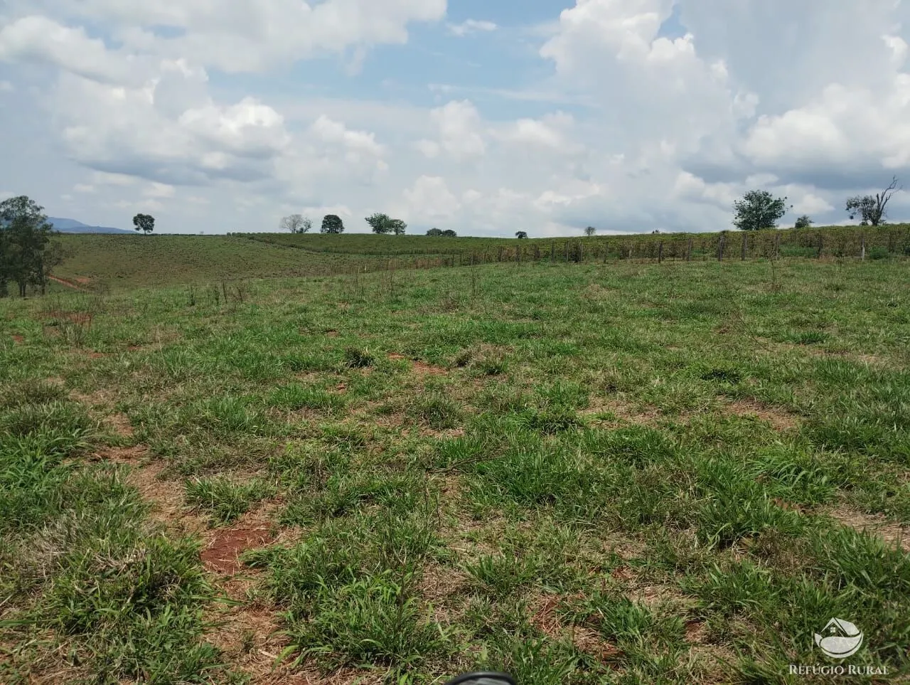 Farm for sale of 190 acres in Monte Belo, MG, Brazil
