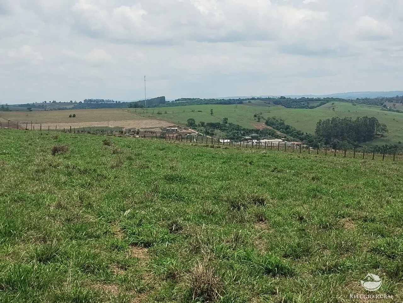 Farm for sale of 190 acres in Monte Belo, MG, Brazil