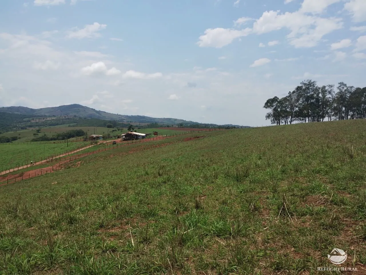 Farm for sale of 190 acres in Monte Belo, MG, Brazil