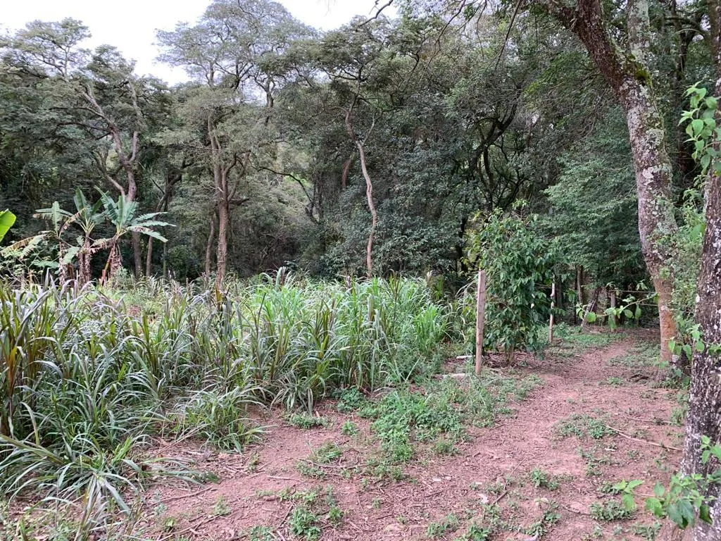 Chácara à venda de 1 ha em Mairinque, SP, Brasil
