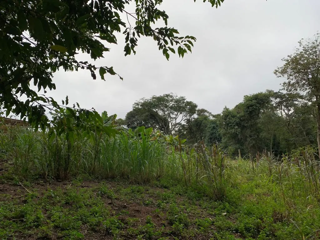 Chácara à venda de 1 ha em Mairinque, SP, Brasil