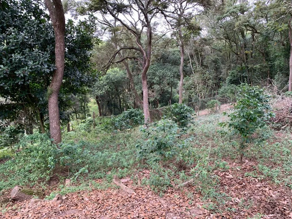 Chácara à venda de 1 ha em Mairinque, SP, Brasil