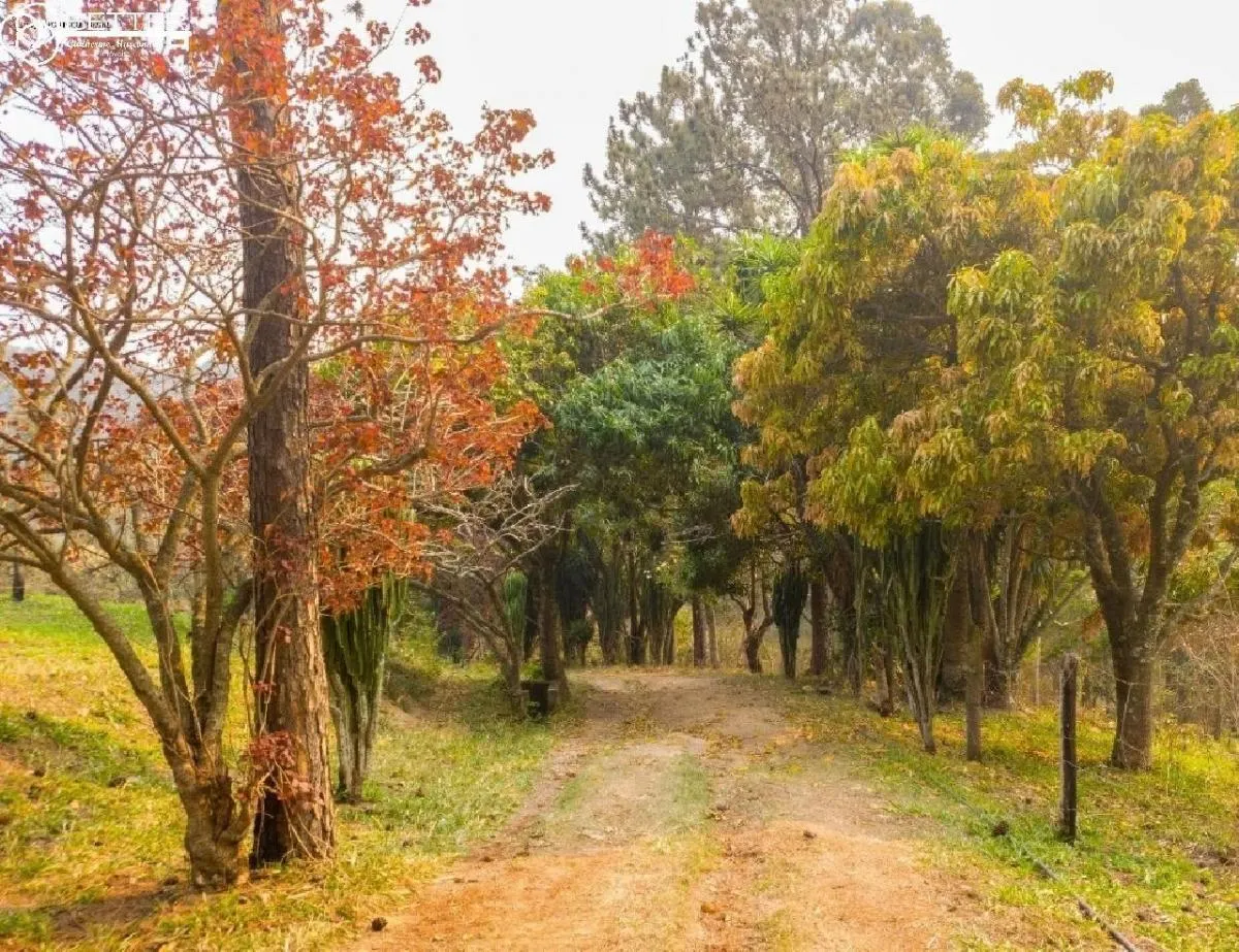 Sítio à venda de 15 ha em Itu, SP, Brasil