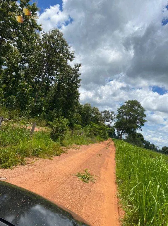 Fazenda à venda e para Arrendar de 1.600 ha em Poconé, MT, Brasil