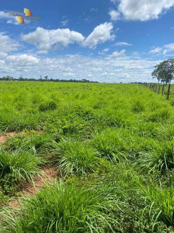Fazenda à venda e para Arrendar de 1.600 ha em Poconé, MT, Brasil