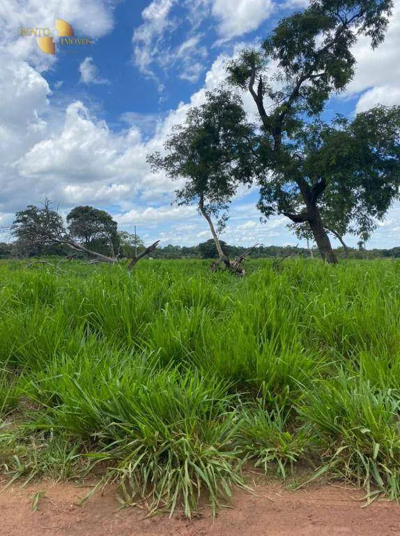 Fazenda à venda e para Arrendar de 1.600 ha em Poconé, MT, Brasil