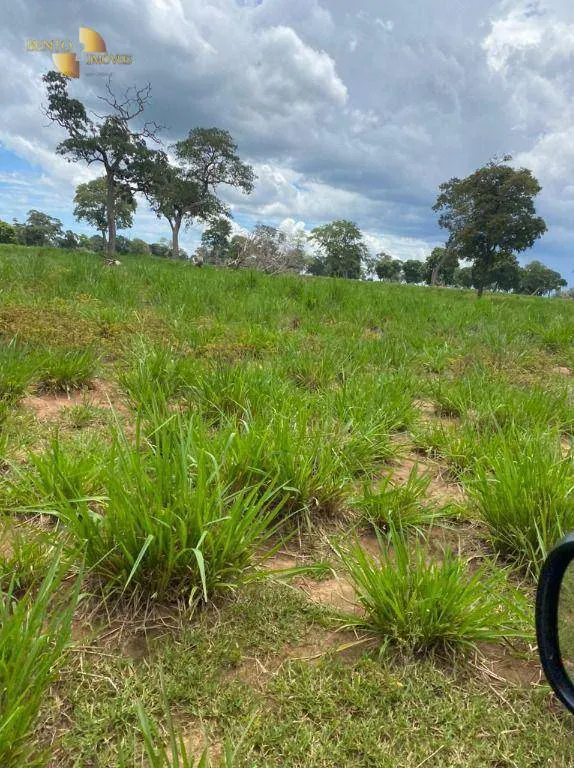 Fazenda à venda e para Arrendar de 1.600 ha em Poconé, MT, Brasil