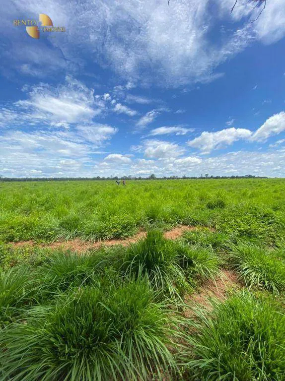 Fazenda à venda e para Arrendar de 1.600 ha em Poconé, MT, Brasil