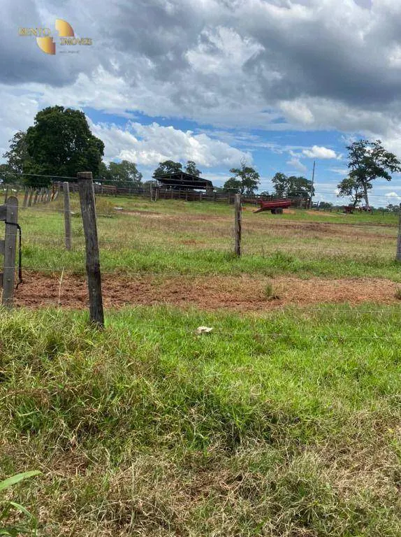 Fazenda à venda e para Arrendar de 1.600 ha em Poconé, MT, Brasil
