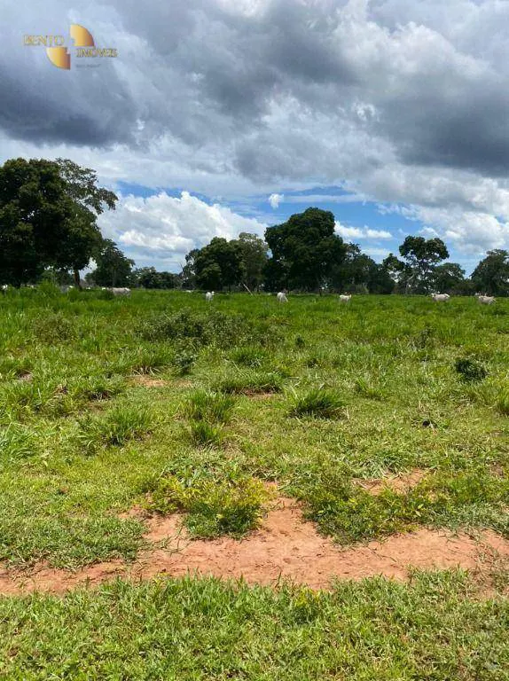 Fazenda à venda e para Arrendar de 1.600 ha em Poconé, MT, Brasil