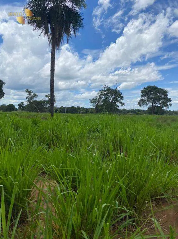 Fazenda à venda e para Arrendar de 1.600 ha em Poconé, MT, Brasil