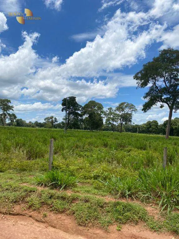 Fazenda à venda e para Arrendar de 1.600 ha em Poconé, MT, Brasil