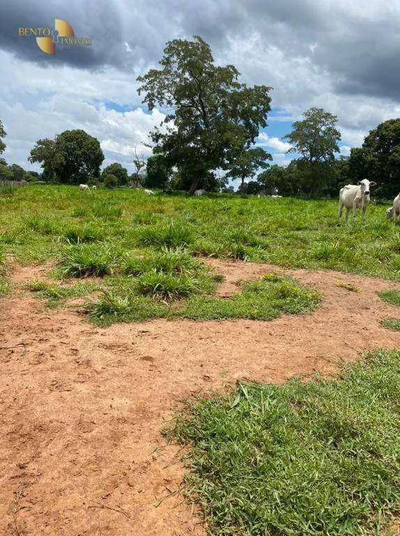 Fazenda à venda e para Arrendar de 1.600 ha em Poconé, MT, Brasil
