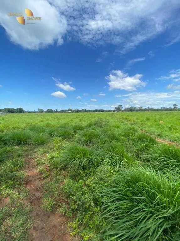 Fazenda à venda e para Arrendar de 1.600 ha em Poconé, MT, Brasil
