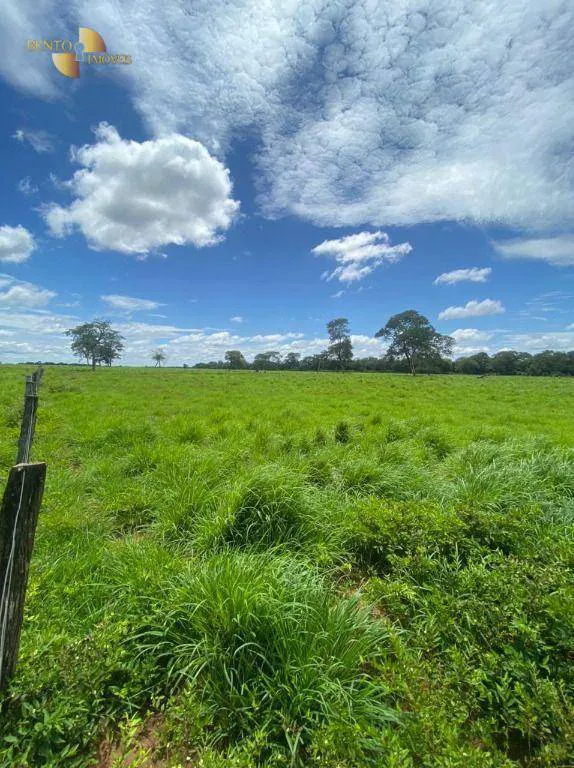 Fazenda à venda e para Arrendar de 1.600 ha em Poconé, MT, Brasil
