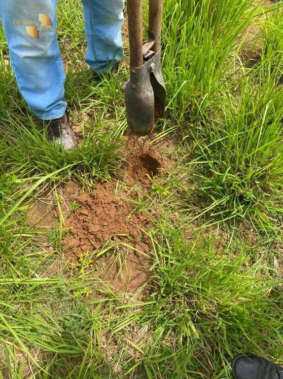 Fazenda à venda e para Arrendar de 1.600 ha em Poconé, MT, Brasil