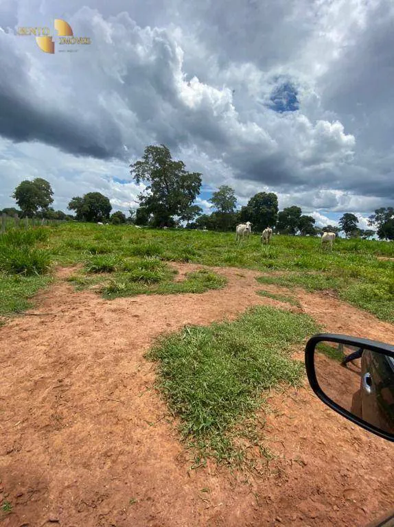 Fazenda à venda e para Arrendar de 1.600 ha em Poconé, MT, Brasil
