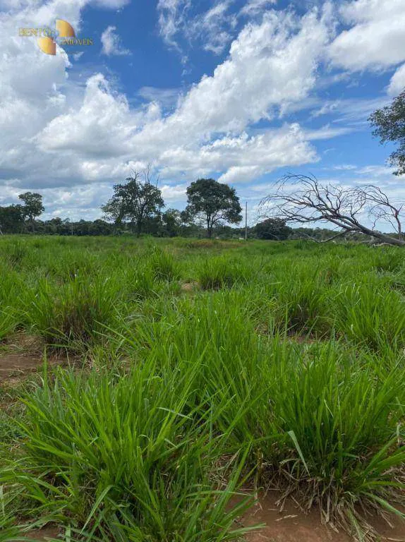 Fazenda à venda e para Arrendar de 1.600 ha em Poconé, MT, Brasil