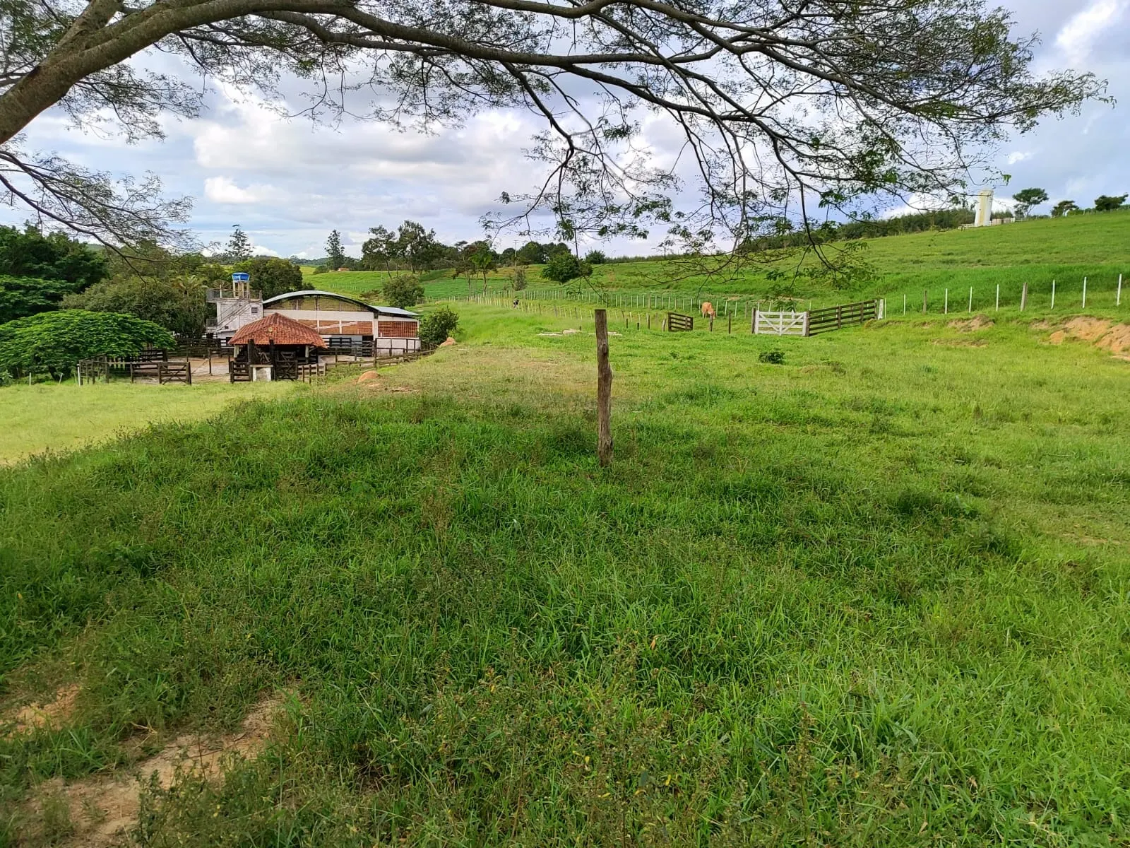 Fazenda à venda de 128 ha em São Miguel Arcanjo, SP, Brasil