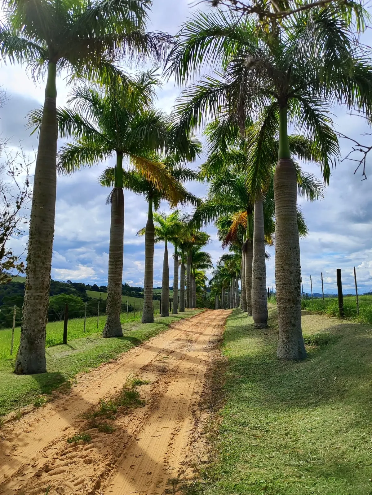 Fazenda à venda de 128 ha em São Miguel Arcanjo, SP, Brasil
