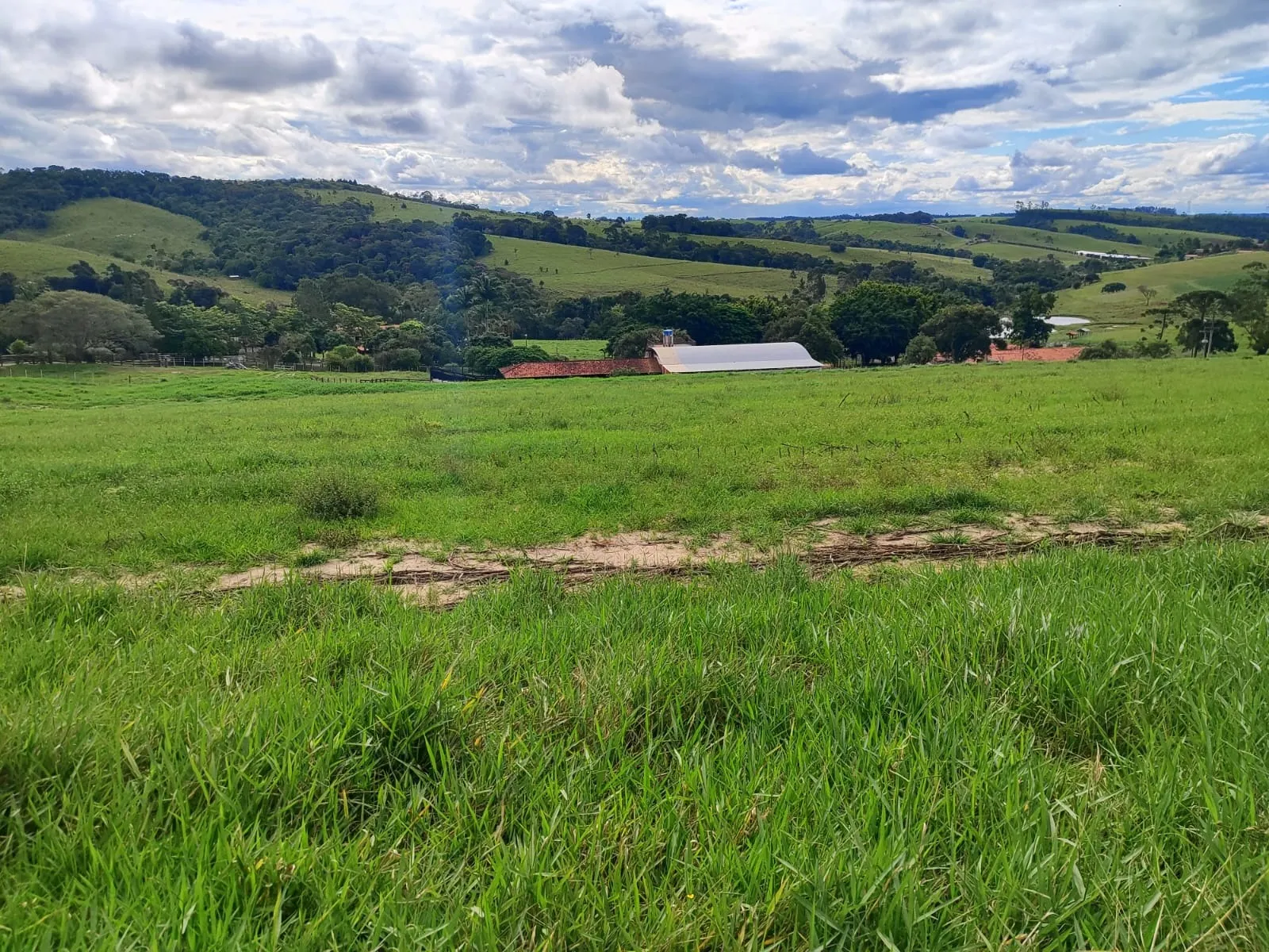 Fazenda à venda de 128 ha em São Miguel Arcanjo, SP, Brasil