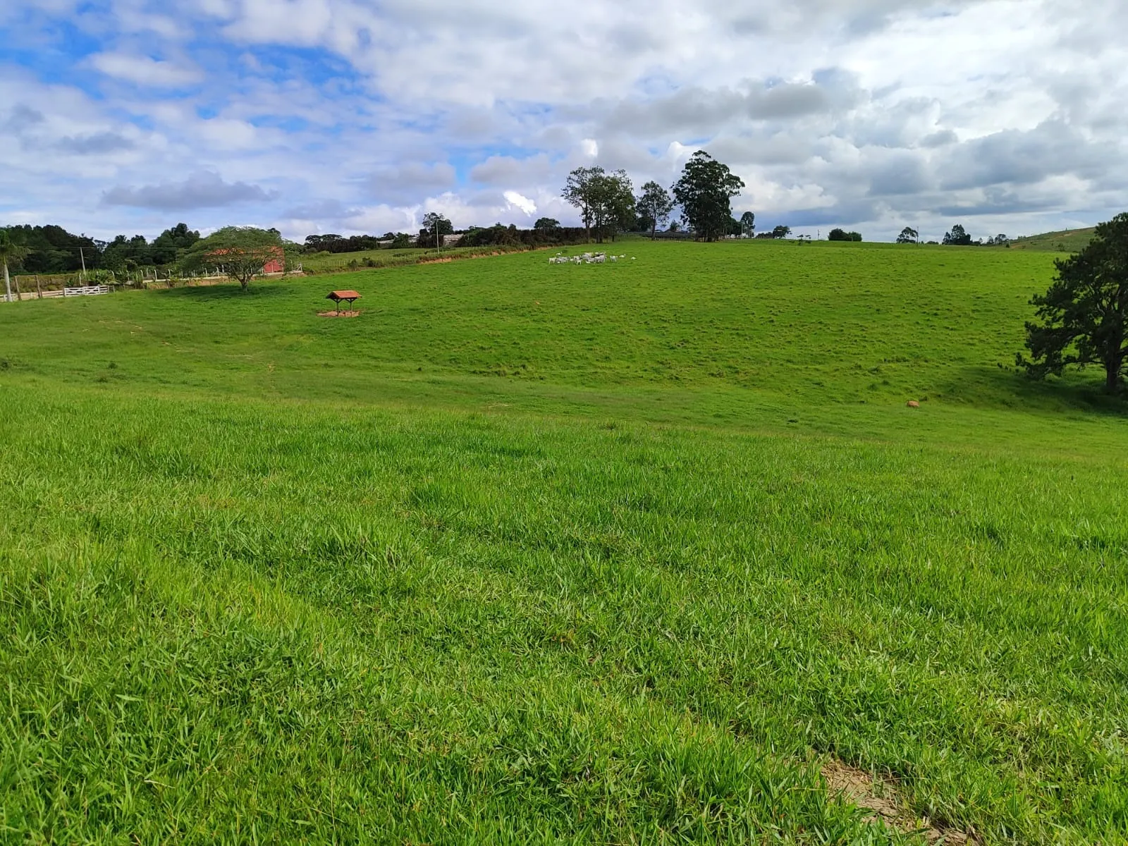 Fazenda à venda de 128 ha em São Miguel Arcanjo, SP, Brasil