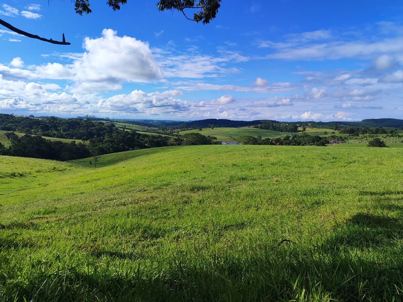 Fazenda à venda de 128 ha em São Miguel Arcanjo, SP, Brasil