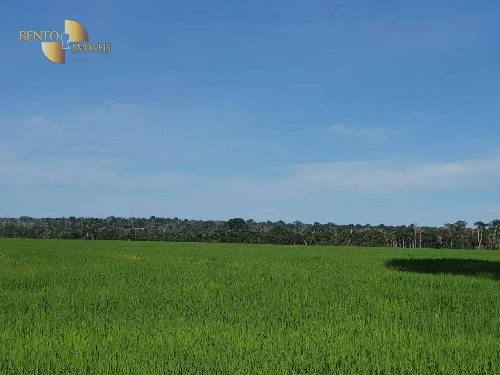 Fazenda à venda de 3.242 ha em Nova Monte Verde, MT, Brasil